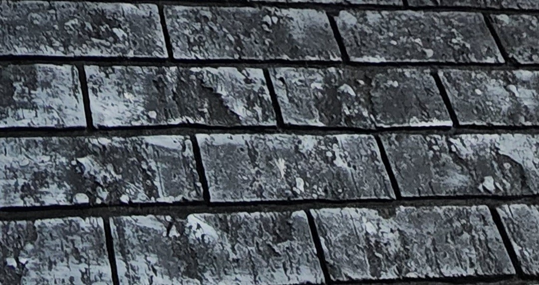 Contact Shear Delite